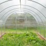 Теплица Агросфера Плюс 4 м (каркас 20х20 мм, 0.67 м между дугами)