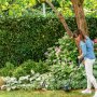 Триммер электрический Bosch EasyGrassCut 26 (06008C1J00)