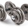 Набор гантелей металлических Hammertone Atlas Sport 2x21.5 кг