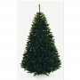 Ель Maxy Poland Алтай 2,2 м