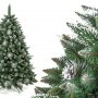 Сосна Christmas Tree Триумф с белыми кончиками 1.2 м (BTF-12)