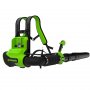 Воздуходувка аккумуляторная Greenworks GD40BPG2 (2408107)
