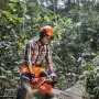 Бензопила Husqvarna 365 18" (970 71 85-18)