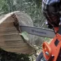Бензопила Husqvarna 365 18" (970 71 85-18)