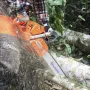 Бензопила Husqvarna 365 18" (970 71 85-18)
