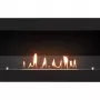 Биокамин Firelight BFP/W-110