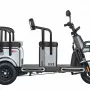 Трицикл Wanshida U1-X 60V серый