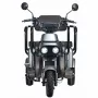 Трицикл Wanshida U1-X 60V серый