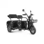 Трицикл Rutrike Экипаж Люкс черный