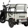 Трицикл Wanshida LC300 60V серый