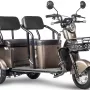 Трицикл Rutrike Караван коричневый