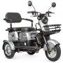Трицикл Rutrike Бумеранг серый