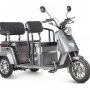 Трицикл Rutrike Топик серый