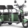 Трицикл Rutrike Караван зеленый
