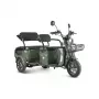 Трицикл Rutrike Экипаж Люкс зеленый