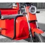 Трицикл Rutrike Амулет 1100 красный