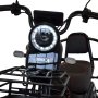 Электротрицикл Terax BIGGY NS009