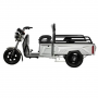 Трицикл Shtenli Model 90 SLA 48v 20Aч серебристый