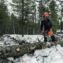 Бензопила Husqvarna 445 II