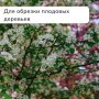 Секатор механический Greengo 3809461