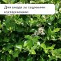 Секатор механический Greengo 3809461