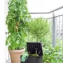 Сундук садовый Keter City Box 113л графит