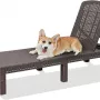 Шезлонг Springhouse Sunny SL01BR (коричневый)