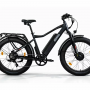 Электровелосипед Eltreco BigCat Dual Next черный матовый