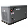 Генератор газовый EVOline GNG 13500 E (адаптированный)