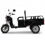 Трицикл BNP Zevs Ultra mini