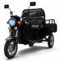 Трицикл BNP Zevs Ultra mini