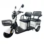 Трицикл Shtenli Model 37 li-on 60V белый