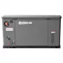 Генератор газовый EVOline GNG 13500 E