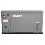 Генератор газовый EVOline GNG 19000 E (адаптированный)