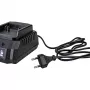 Зарядное устройство Redbo OBC-21C
