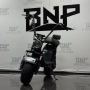Электросамокат BNP City Duo 220