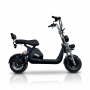 Электросамокат BNP City Duo 230