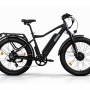 Электровелосипед Eltreco BigCat Dual Next PRO черный матовый