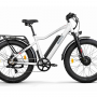 Электровелосипед Eltreco BigCat Dual Next PRO серебристый матовый