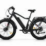 Электровелосипед Eltreco BigCat Dual Next черный матовый
