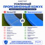 Батут Ametist PRO Inside D374-12FT Blue/Orange