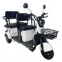 Трицикл Shtenli Model 37 SLA 60V белый