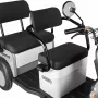 Трицикл Rutrike Gelbert Beta 48V/60V (Серебристо-белый)