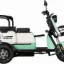 Трицикл Rutrike Вега зеленый