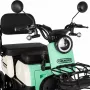 Трицикл Rutrike Вега зеленый