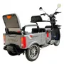 Трицикл Shtenli A034 (60V/20Ah SLA) серый