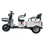 Трицикл Shtenli A034 60V 20Ah (SLA)