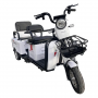 Трицикл Shtenli A034 60V 20Ah (SLA)