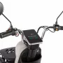 Трицикл Rutrike Gelbert Beta 48V/60V (бежевый)