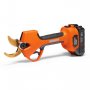 Секатор аккумуляторный Daewoo DAGP 3821Li SET